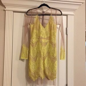 Lace and Netting Mini Dress